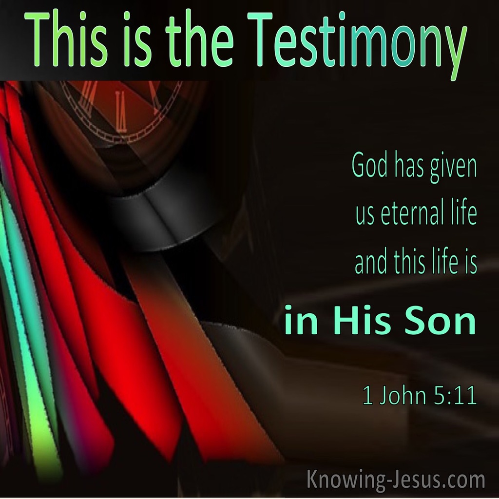 1 John 5:11 God Has Given Us Eternal Life In His Son (windows)10:23